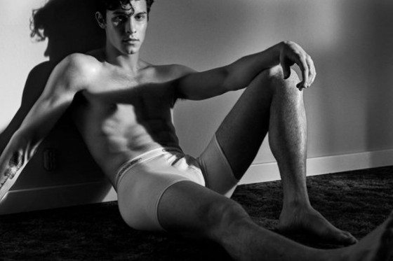 Shawn Mendes e la sua sessualità: gay o etero?