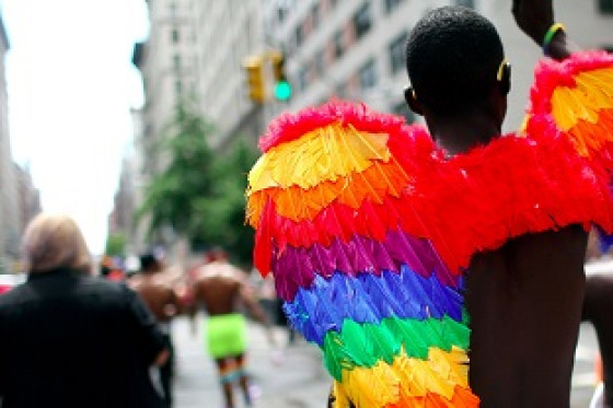 Sud Africa - I colori dell'arcobaleno - Tour Sud Africa - I colori dell'arcobaleno - Tour