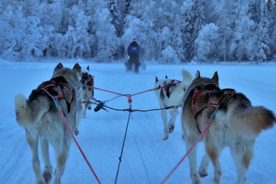 IL TOP DI ROVANIEMI – WEEKEND ALLA SCOPERTA DEL FAMOSO VILLAGGIO LAPPONE - NS. PRODOTTO TOP IL TOP DI ROVANIEMI – WEEKEND ALLA SCOPERTA DEL FAMOSO VILLAGGIO LAPPONE - NS. PRODOTTO TOP
